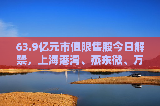 63.9亿元市值限售股今日解禁，上海港湾、燕东微、万事利解禁市值居前