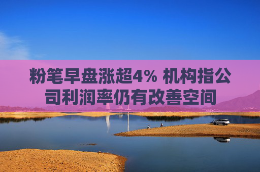 粉笔早盘涨超4% 机构指公司利润率仍有改善空间