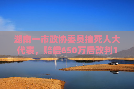 湖南一市政协委员撞死人大代表，赔偿650万后改判15年，二审维持原判