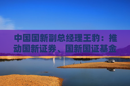 中国国新副总经理王豹：推动国新证券、国新国证基金打造公募REITs上市平台