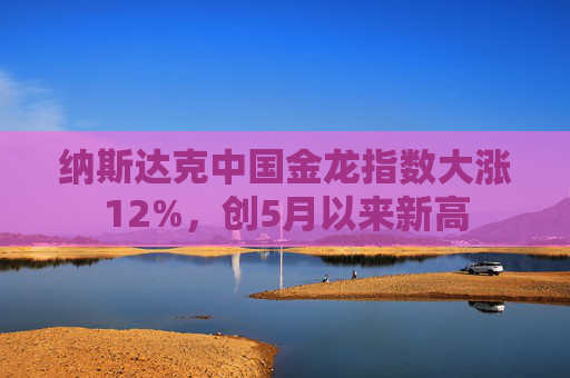 纳斯达克中国金龙指数大涨12%，创5月以来新高