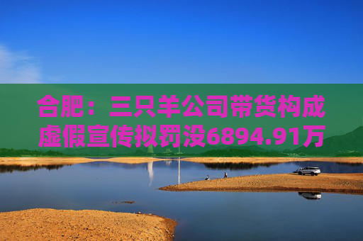 合肥：三只羊公司带货构成虚假宣传拟罚没6894.91万元、责令暂停经营