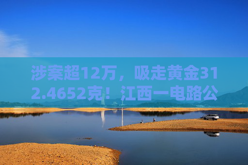 涉案超12万，吸走黄金312.4652克！江西一电路公司员工获刑