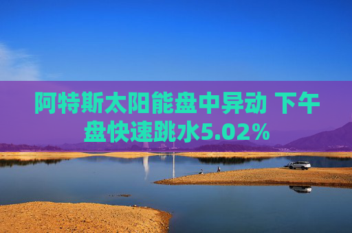 阿特斯太阳能盘中异动 下午盘快速跳水5.02%