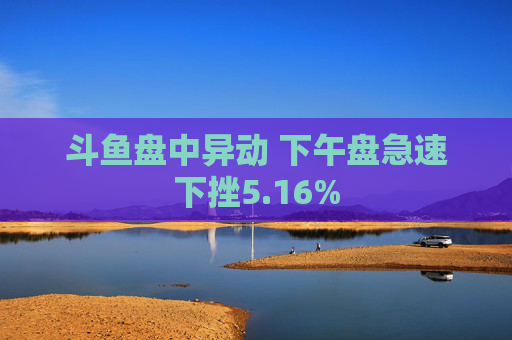 斗鱼盘中异动 下午盘急速下挫5.16%