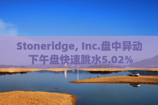 Stoneridge, Inc.盘中异动 下午盘快速跳水5.02%