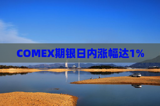 COMEX期银日内涨幅达1%