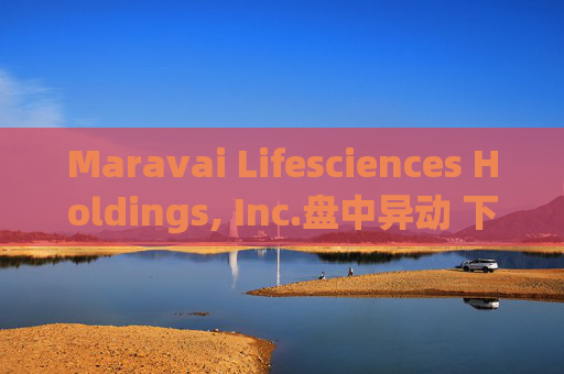 Maravai Lifesciences Holdings, Inc.盘中异动 下午盘股价大跌5.11%