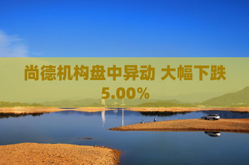 尚德机构盘中异动 大幅下跌5.00%