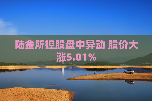 陆金所控股盘中异动 股价大涨5.01%