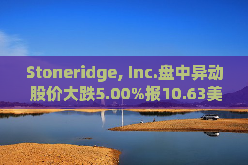 Stoneridge, Inc.盘中异动 股价大跌5.00%报10.63美元