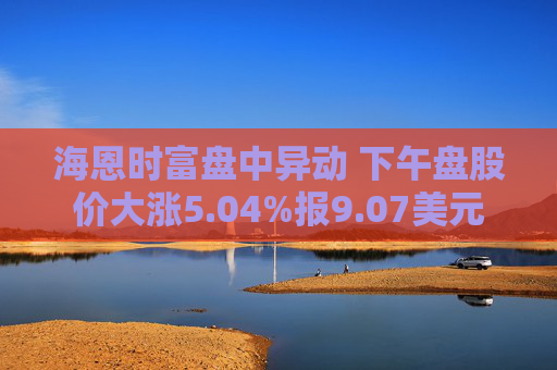 海恩时富盘中异动 下午盘股价大涨5.04%报9.07美元