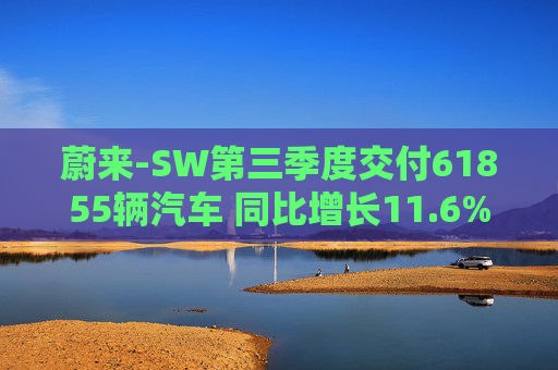 蔚来-SW第三季度交付61855辆汽车 同比增长11.6%