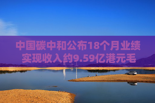 中国碳中和公布18个月业绩 实现收入约9.59亿港元毛利4990.5万港元