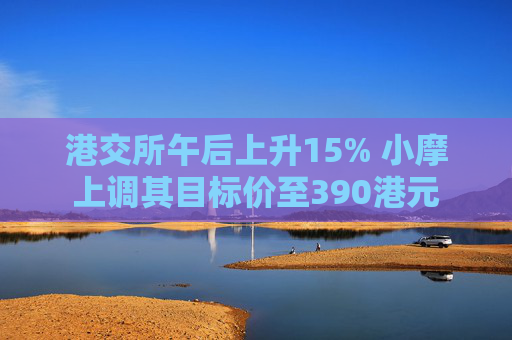 港交所午后上升15% 小摩上调其目标价至390港元