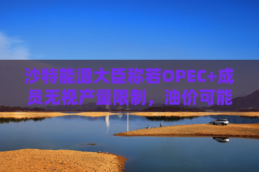 沙特能源大臣称若OPEC+成员无视产量限制，油价可能跌至50美元