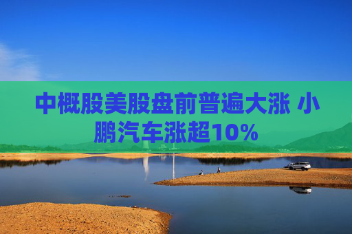 中概股美股盘前普遍大涨 小鹏汽车涨超10%