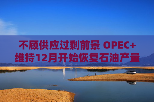 不顾供应过剩前景 OPEC+维持12月开始恢复石油产量的计划