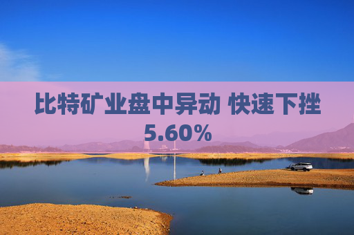 比特矿业盘中异动 快速下挫5.60%