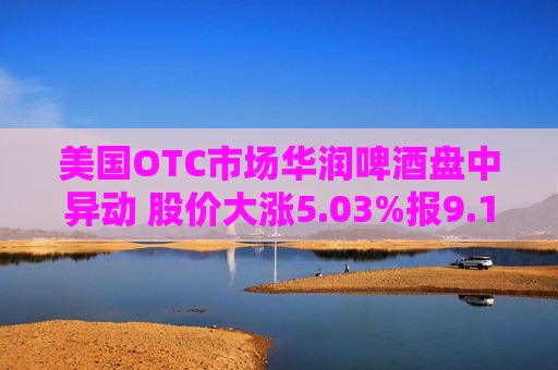 美国OTC市场华润啤酒盘中异动 股价大涨5.03%报9.14美元