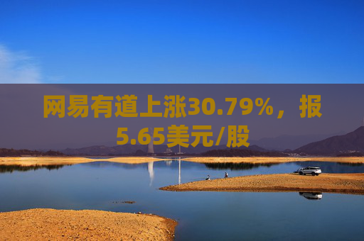 网易有道上涨30.79%，报5.65美元/股