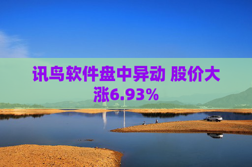 讯鸟软件盘中异动 股价大涨6.93%