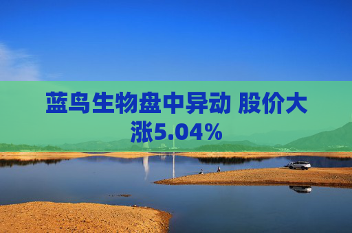 蓝鸟生物盘中异动 股价大涨5.04%