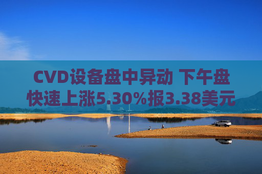 CVD设备盘中异动 下午盘快速上涨5.30%报3.38美元