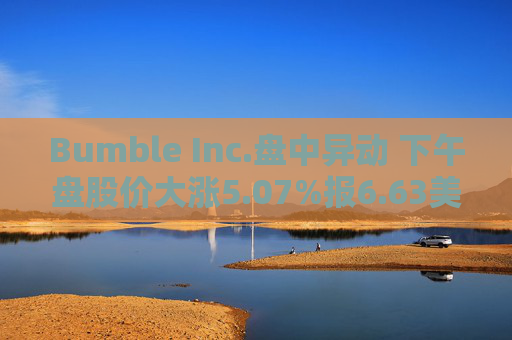 Bumble Inc.盘中异动 下午盘股价大涨5.07%报6.63美元