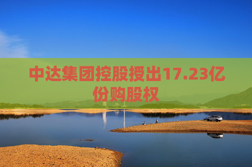 中达集团控股授出17.23亿份购股权