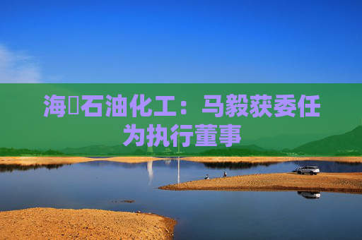 海峽石油化工：马毅获委任为执行董事