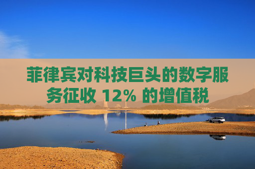 菲律宾对科技巨头的数字服务征收 12% 的增值税