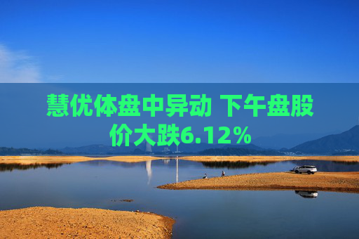 慧优体盘中异动 下午盘股价大跌6.12%