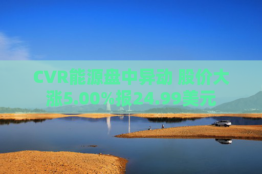 CVR能源盘中异动 股价大涨5.00%报24.99美元